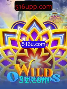 Descubra o Mundo de WildOverlords e as Emoções Intensas de 516u.com