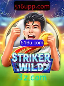 Explorando o Universo do Jogo StrikerWILD